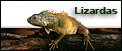 UAB „Lizardas“